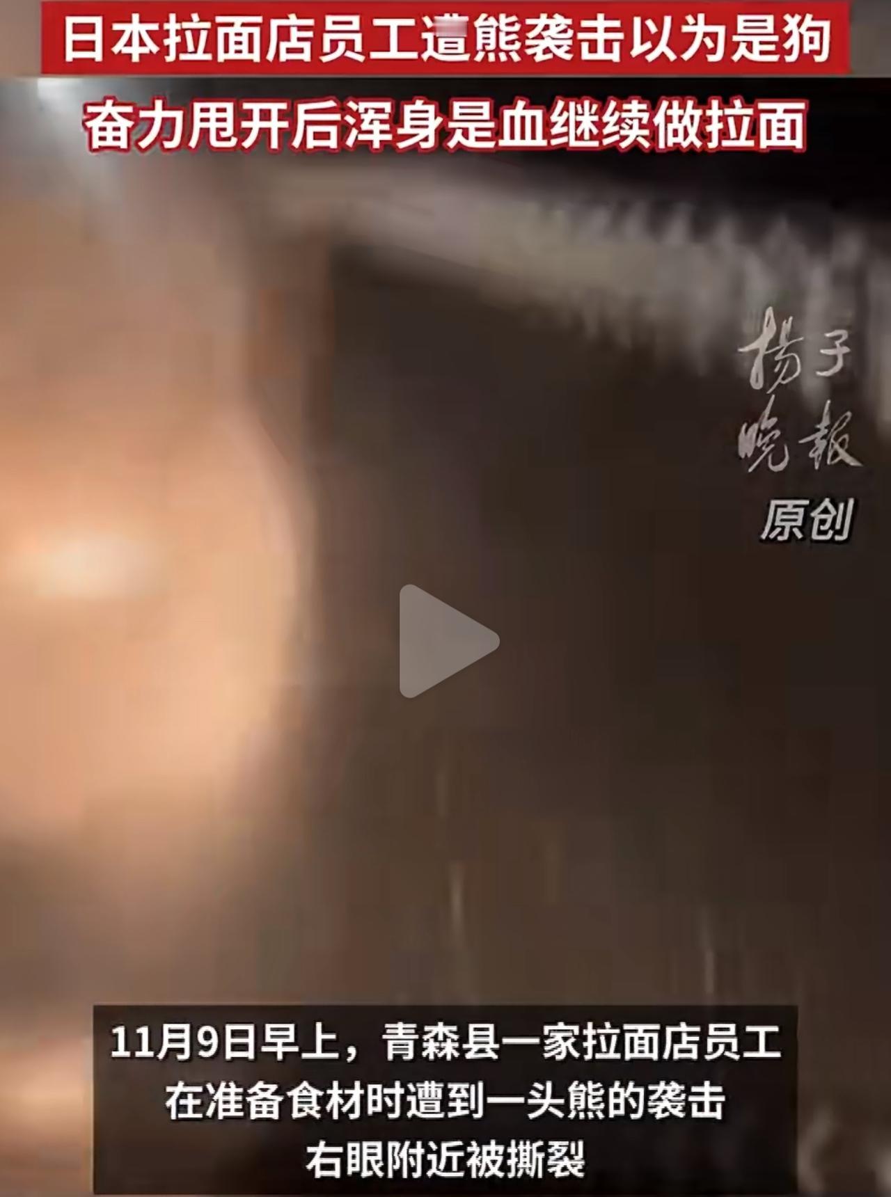 浑身是血还接着揉面？日本店员遭熊袭击后的操作，一半敬佩一半后怕！

凌晨5点的拉