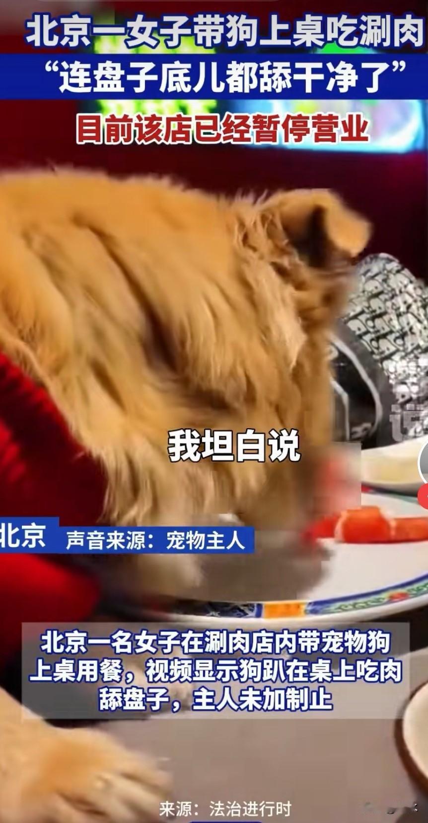 太震惊了！怎么会有这种人！北京一女子带狗上桌吃涮肉，而且她还录视频，还夸她的狗“