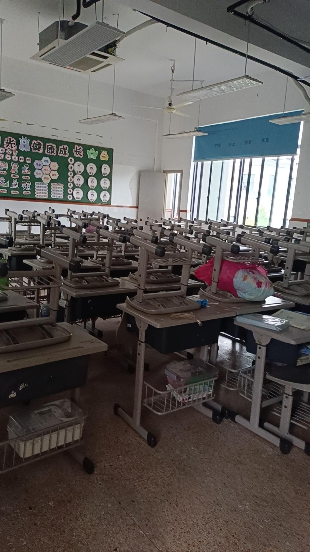 翻相册翻到上周在木兰玫瑰园随手按的一张照片，镜头里刚好框住半丛开得泼泼洒洒的月季