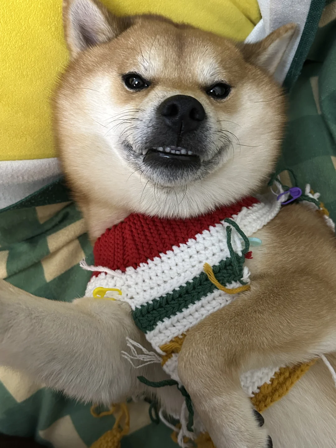 嘻嘻 看看我的新衣服呀✨