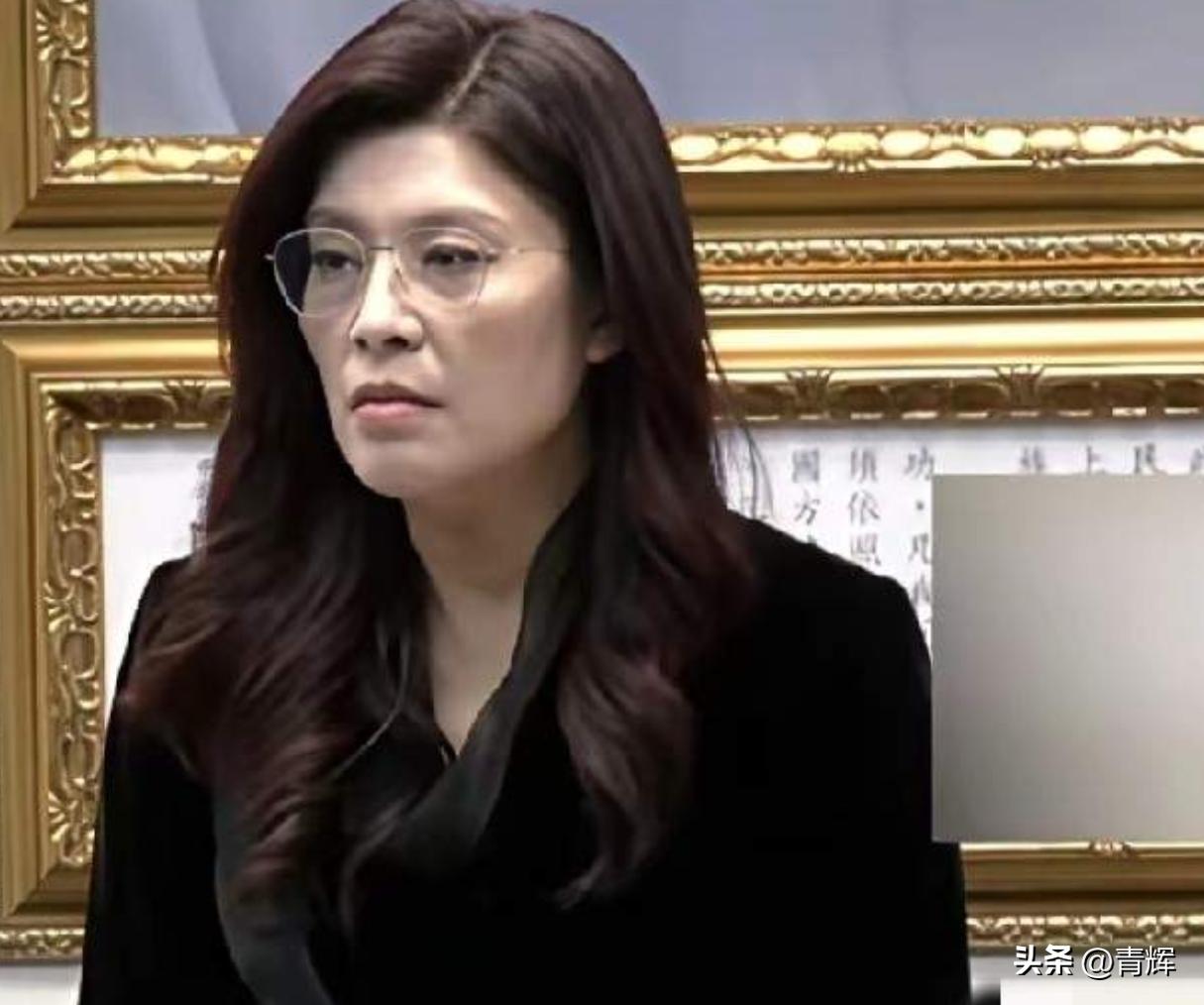 郑丽文声称访问大陆后，国民党迎来严重内讧
2月底的时候，被称为贝勒爷的金溥聪（满