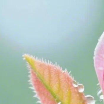 在命运面前，一切都充满不确定性，没有什么是属于你的，你只是路过这世界，路过这众生