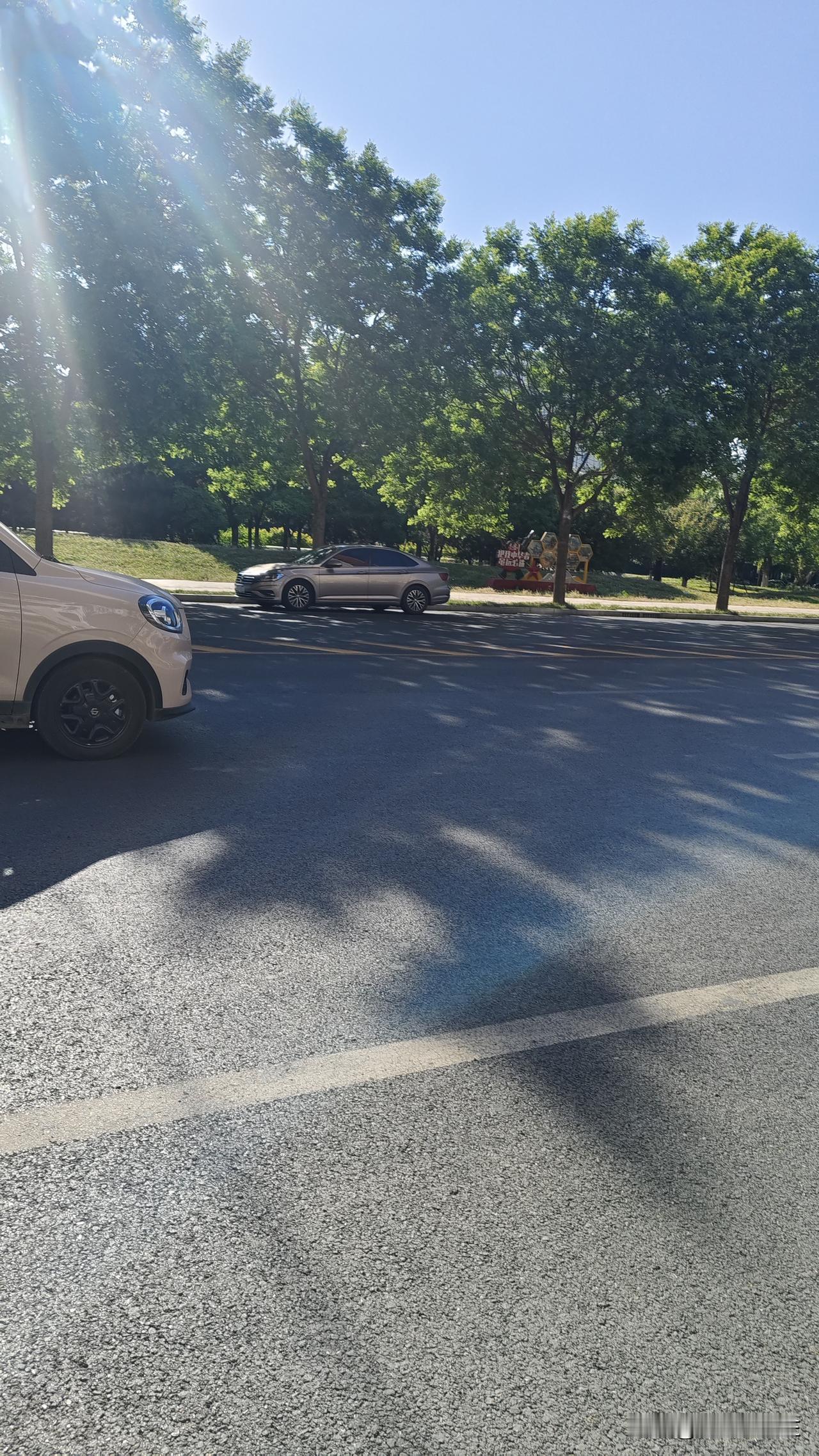 石家庄的违停太多了，省会城市，怎么还不如无极县城呢？尤其是开发区，祁连街上违停车