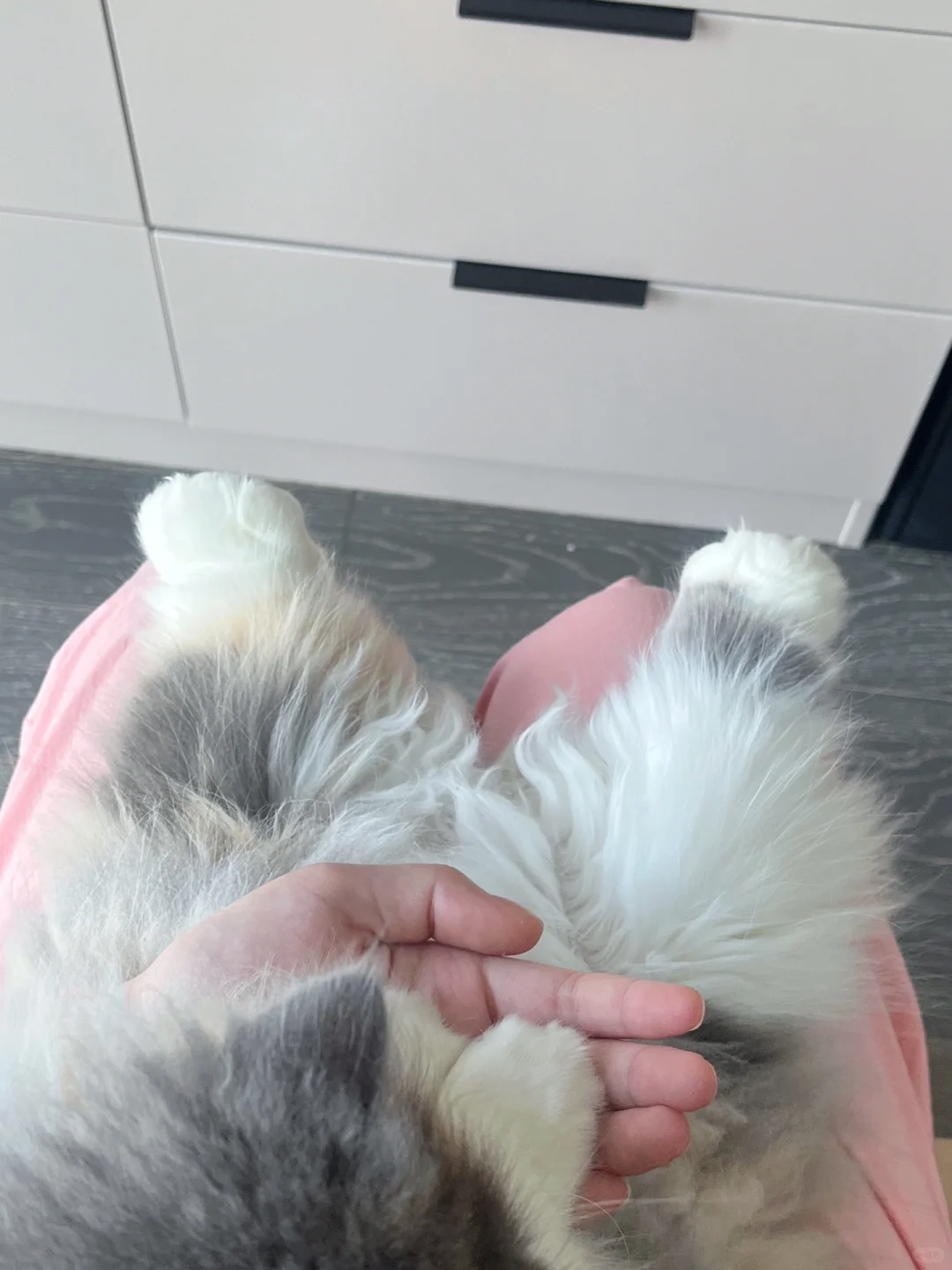 怎么委婉告诉室友她的脚很臭