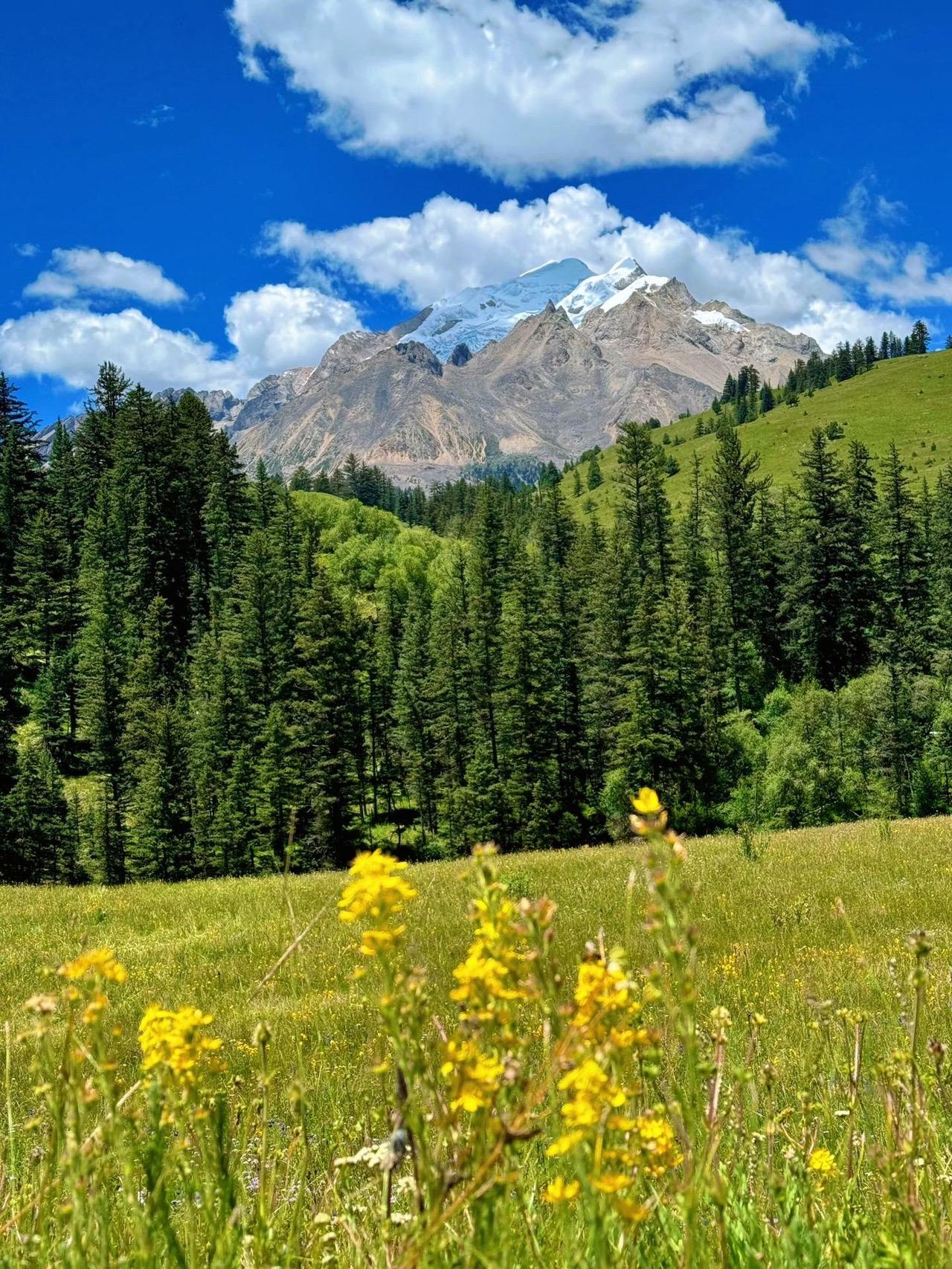 一个人有权选择自己的居住地，你可以前往美国、英国、澳大利亚、新西兰等国家。然而，