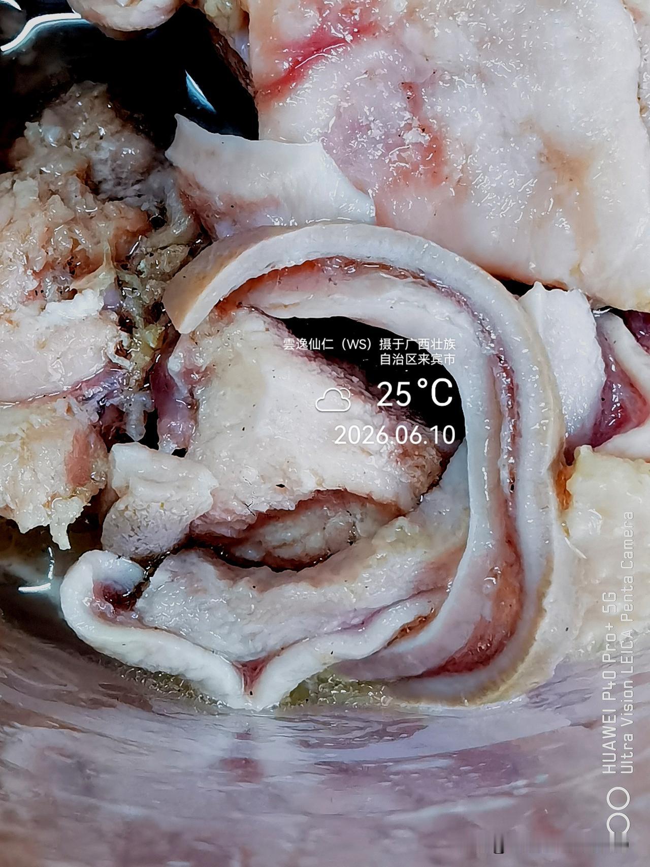 月居生活记录（9881）广西壮族自治区来宾市（106）品尝小吃45：猪肚炖鸡汤（