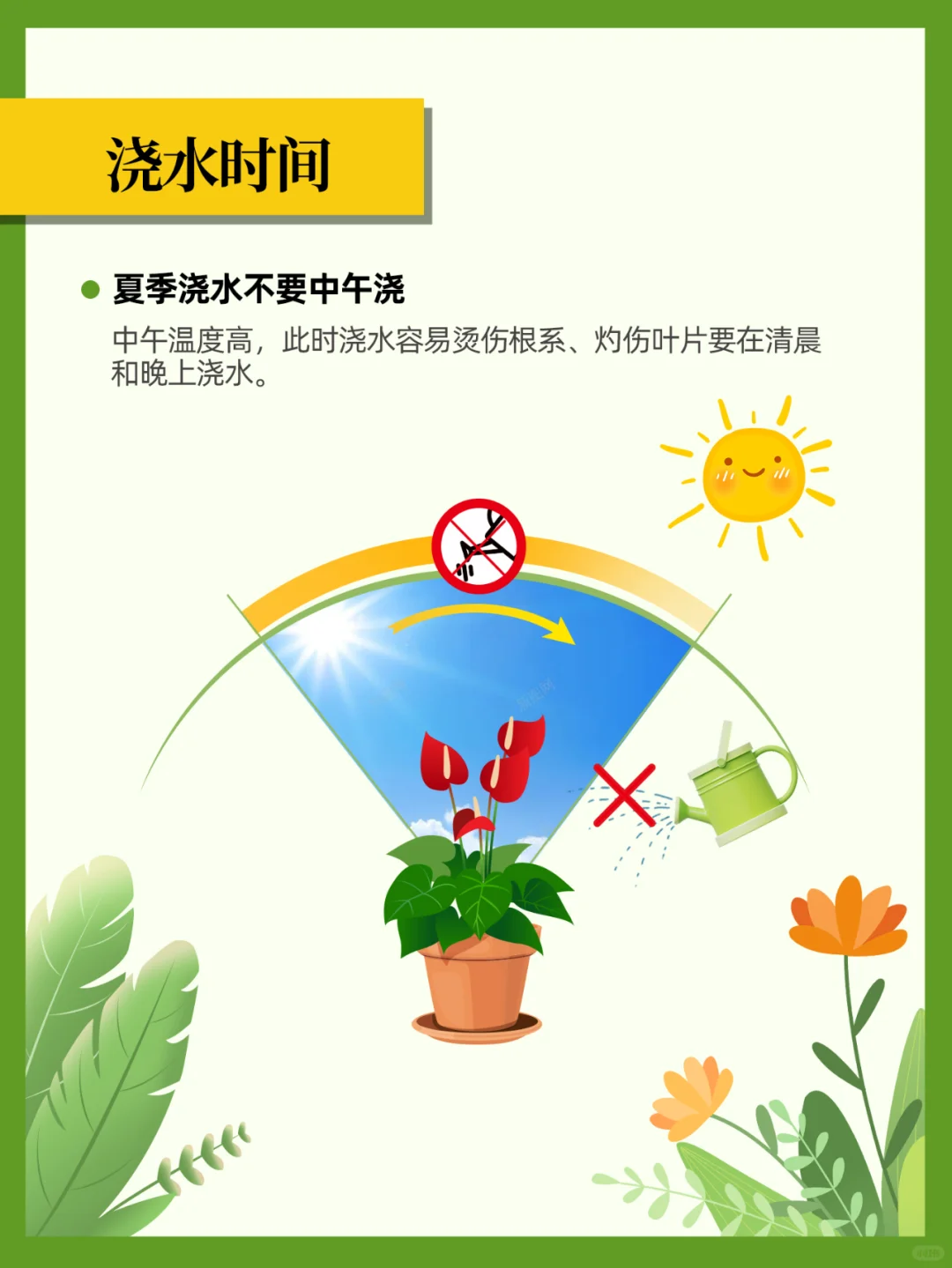 夏季养花浇水攻略！