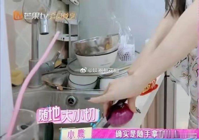 如果把维嘉扔进管乐家里 估计维嘉进门不到十分钟，就得挽起袖子开始“大改造”，管乐