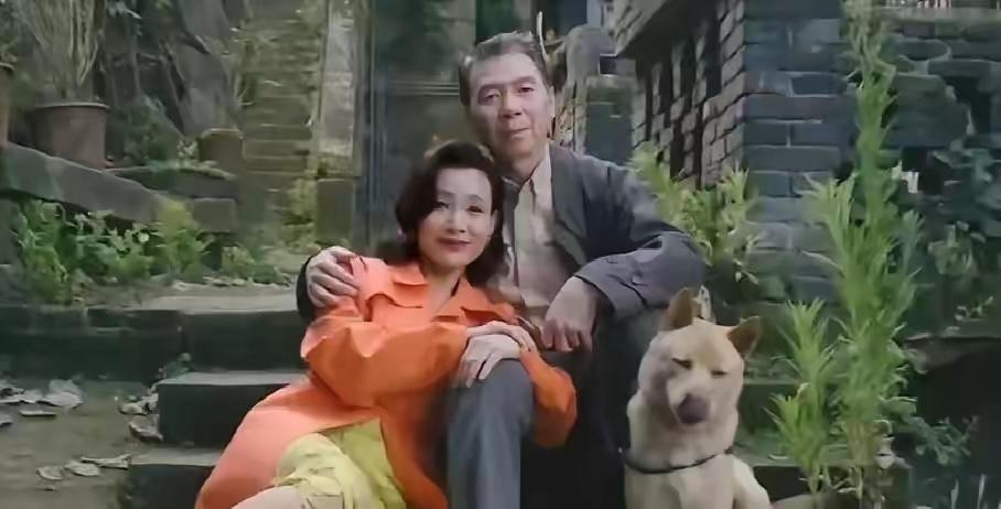 一位70岁传奇医生的故事要被搬上大银幕啦！

在上海的老弄堂里，有位老太太用钢板