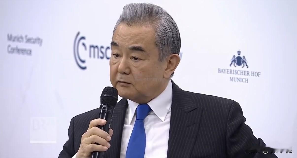 中国外长王毅在慕尼黑安全会议上说：“二战后，德国对纳粹罪行进行了彻底清算，并通过