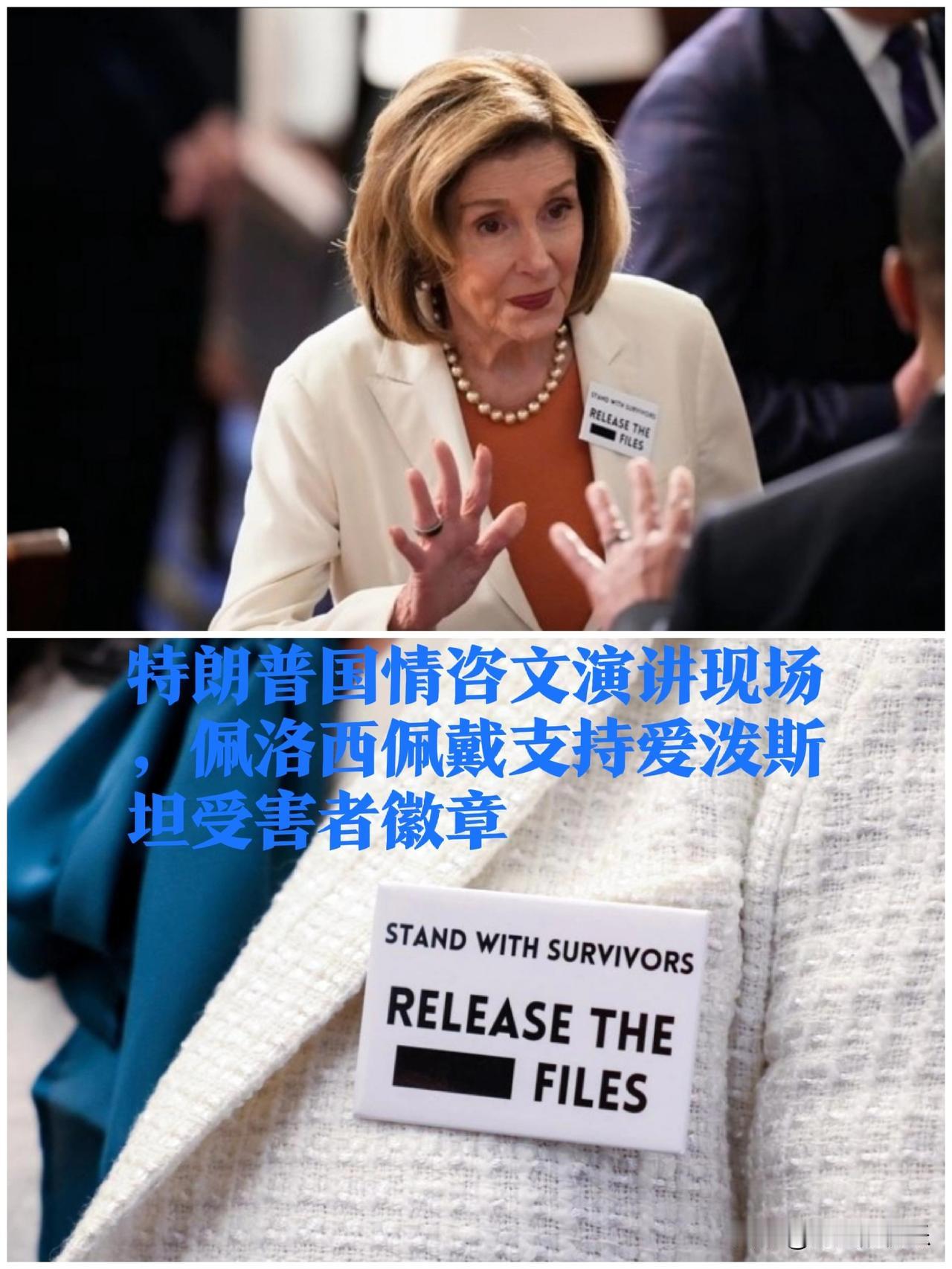 特朗普国情咨文演讲现场，佩洛西佩戴支持爱泼斯坦受害者徽章

   据外媒报道美国