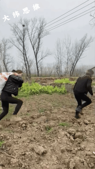 俩惯偷，
还都是小媳妇！