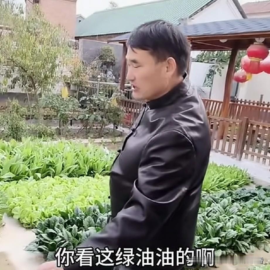 朱之文成名后，不忘劳动人民本色，他家的院子里种了好多青菜，有香菜、菠菜、韭菜、油
