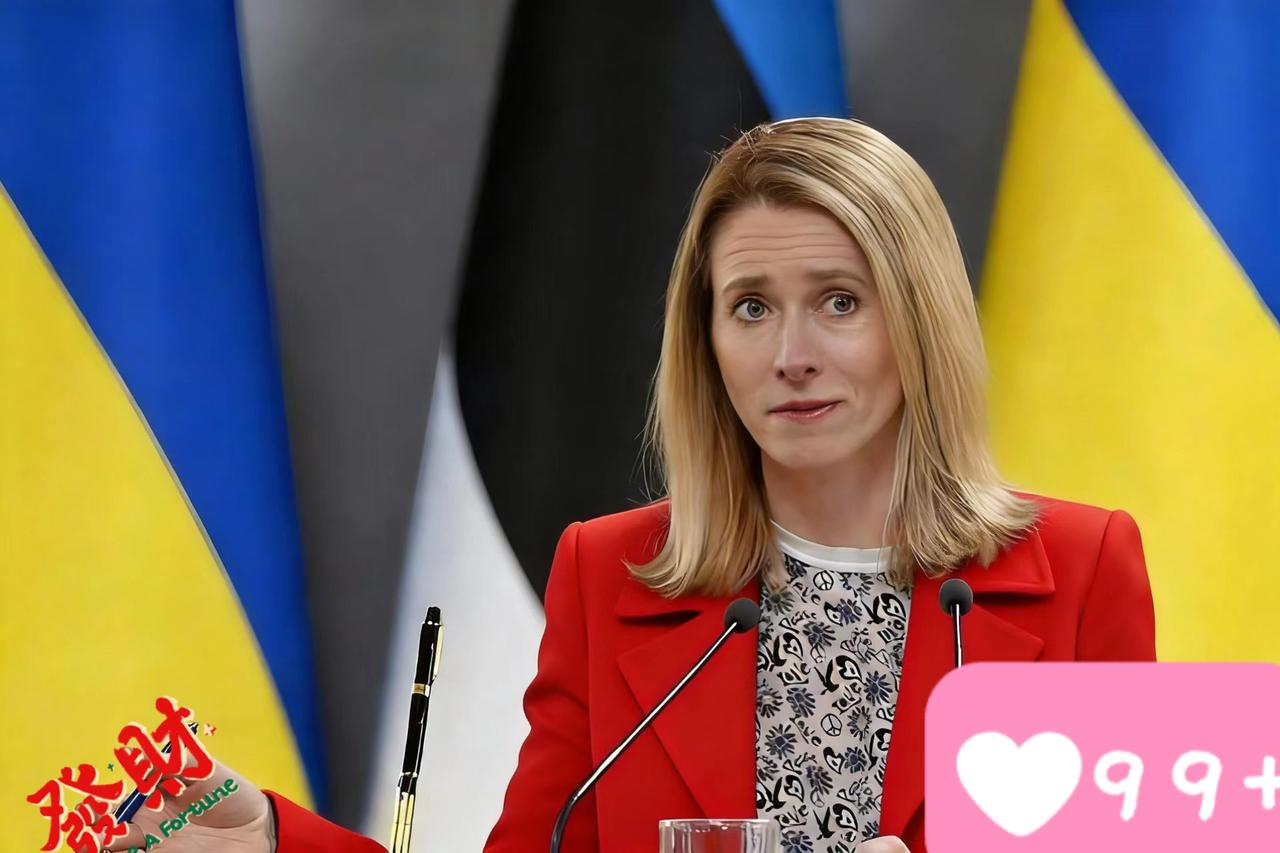 这出“保护盟友主权”的大戏，台词念得越响亮，台下的算盘声就越刺耳。德英两国张罗着