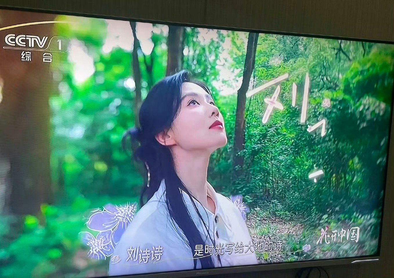央视镜头下的刘诗诗美进我心里 花开中国里的刘诗诗一出场就自带仙气，素净白衣配温婉