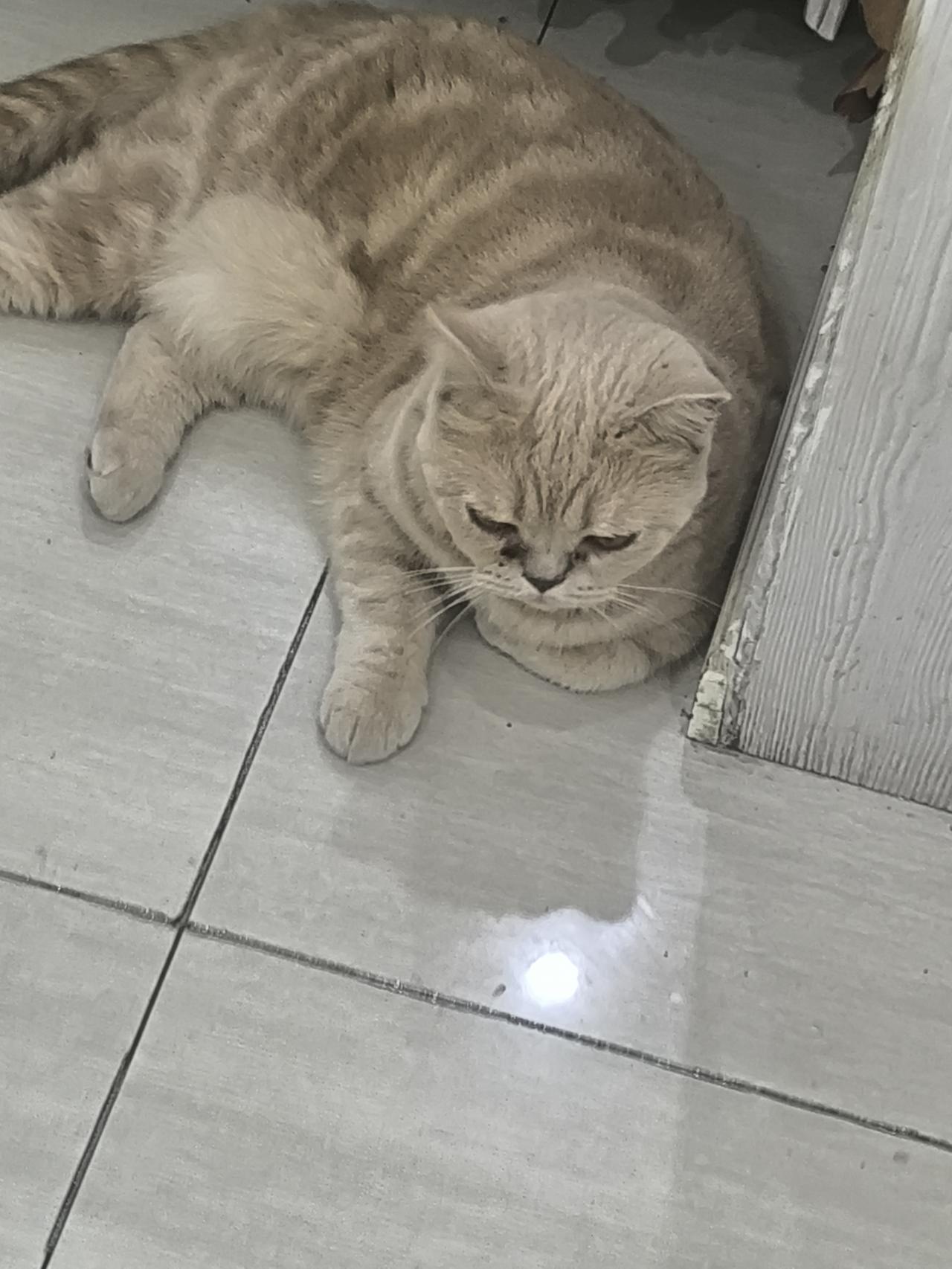 又不听话了啊，天天想吃好吃的，哪有这条件[泣不成声]