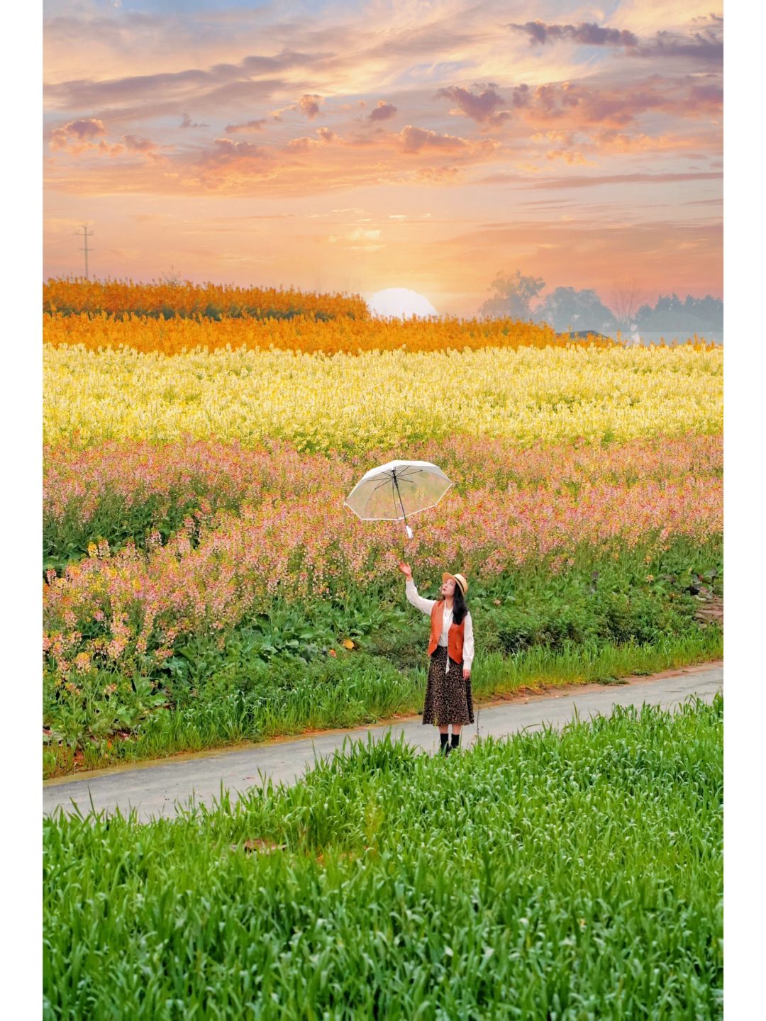 成都七彩油菜花梯田，堪称为国内天花板了吧