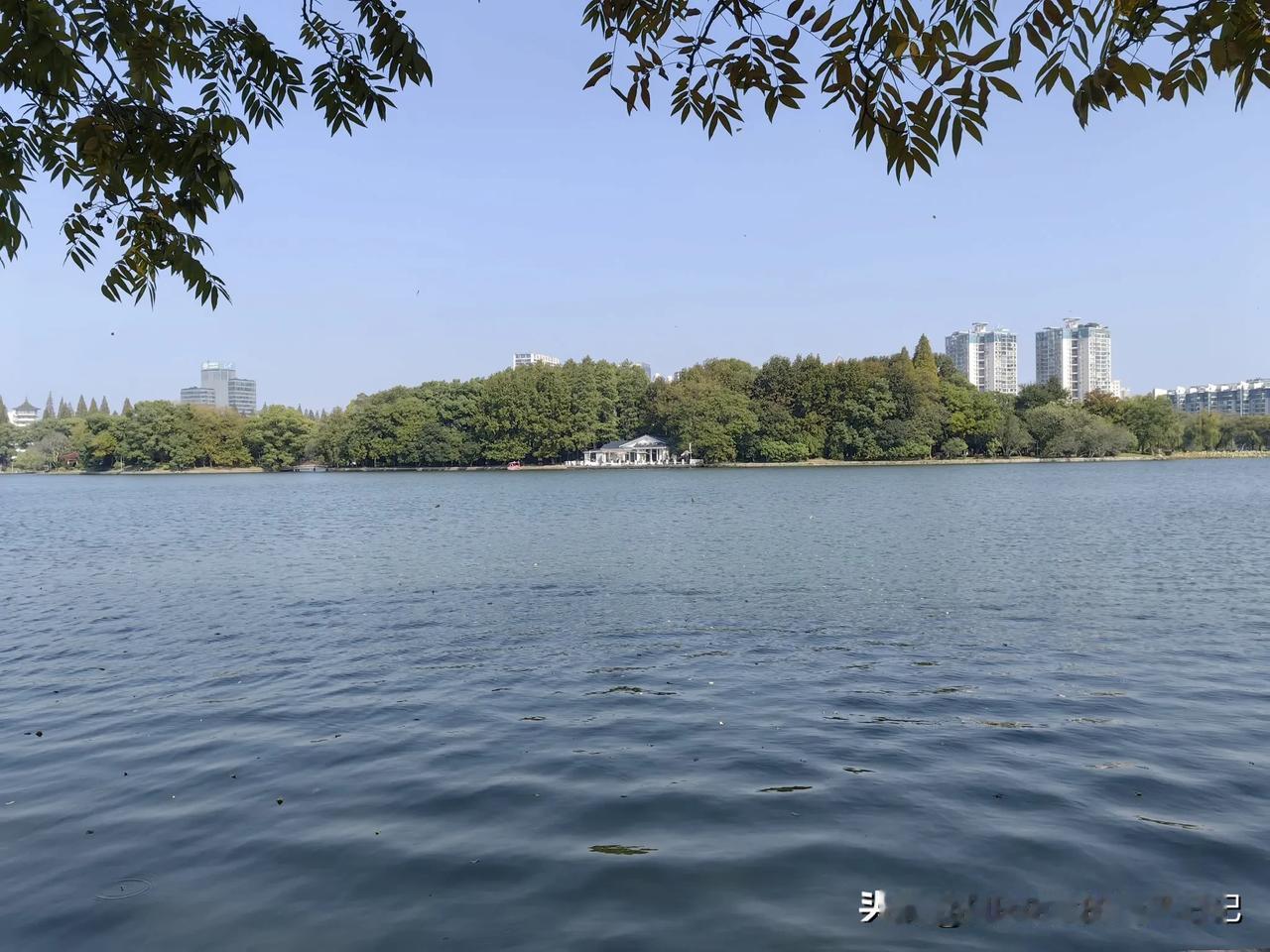 秋日湖水微波荡漾，
柳枝自在随风飘扬。
天蓝水碧心情开阔，
天地四时皆有主张。