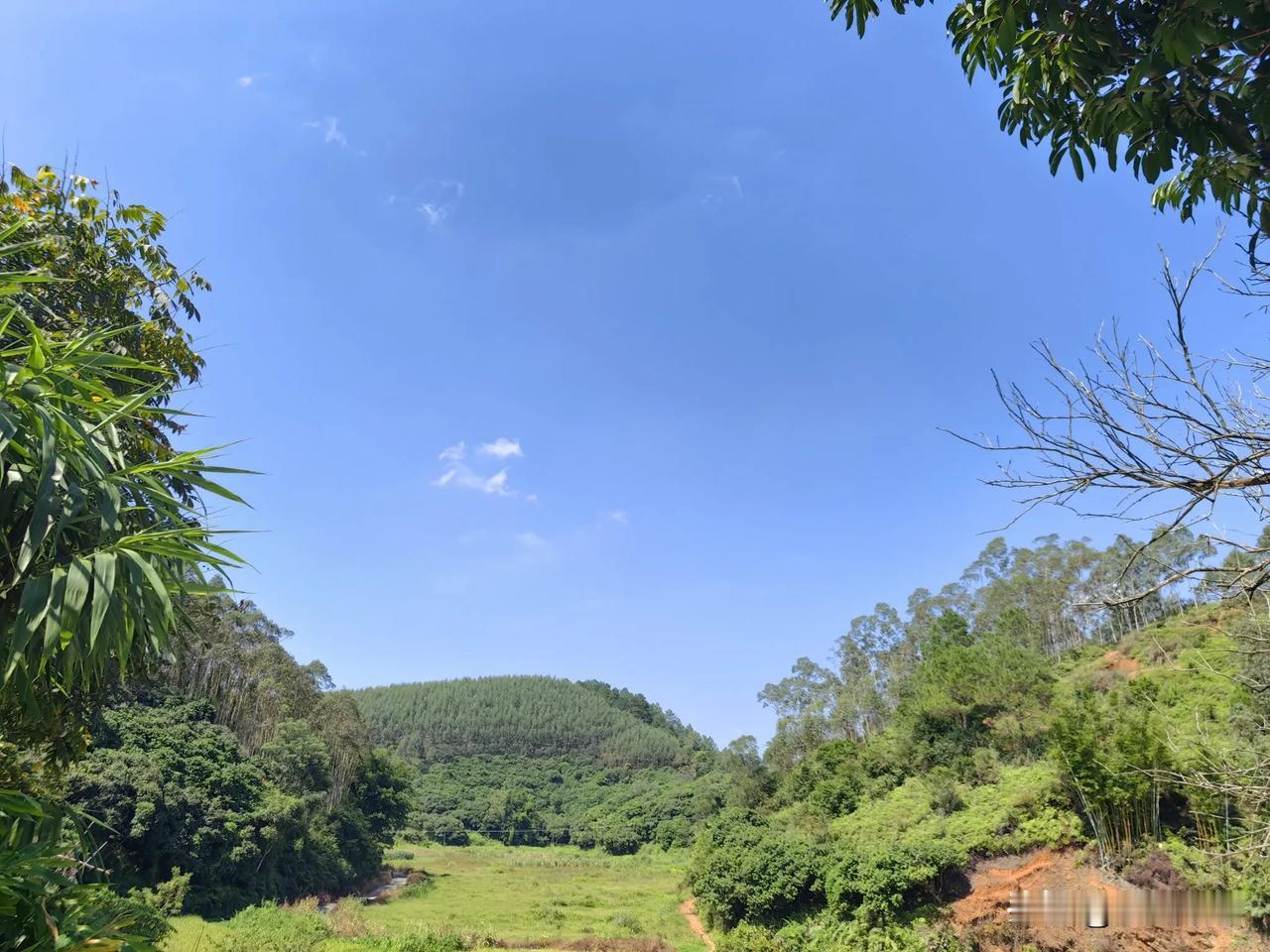 广西北流： 绿野千里，清新自然。
#家乡随拍景色# #大山之的风光# #田间的绿