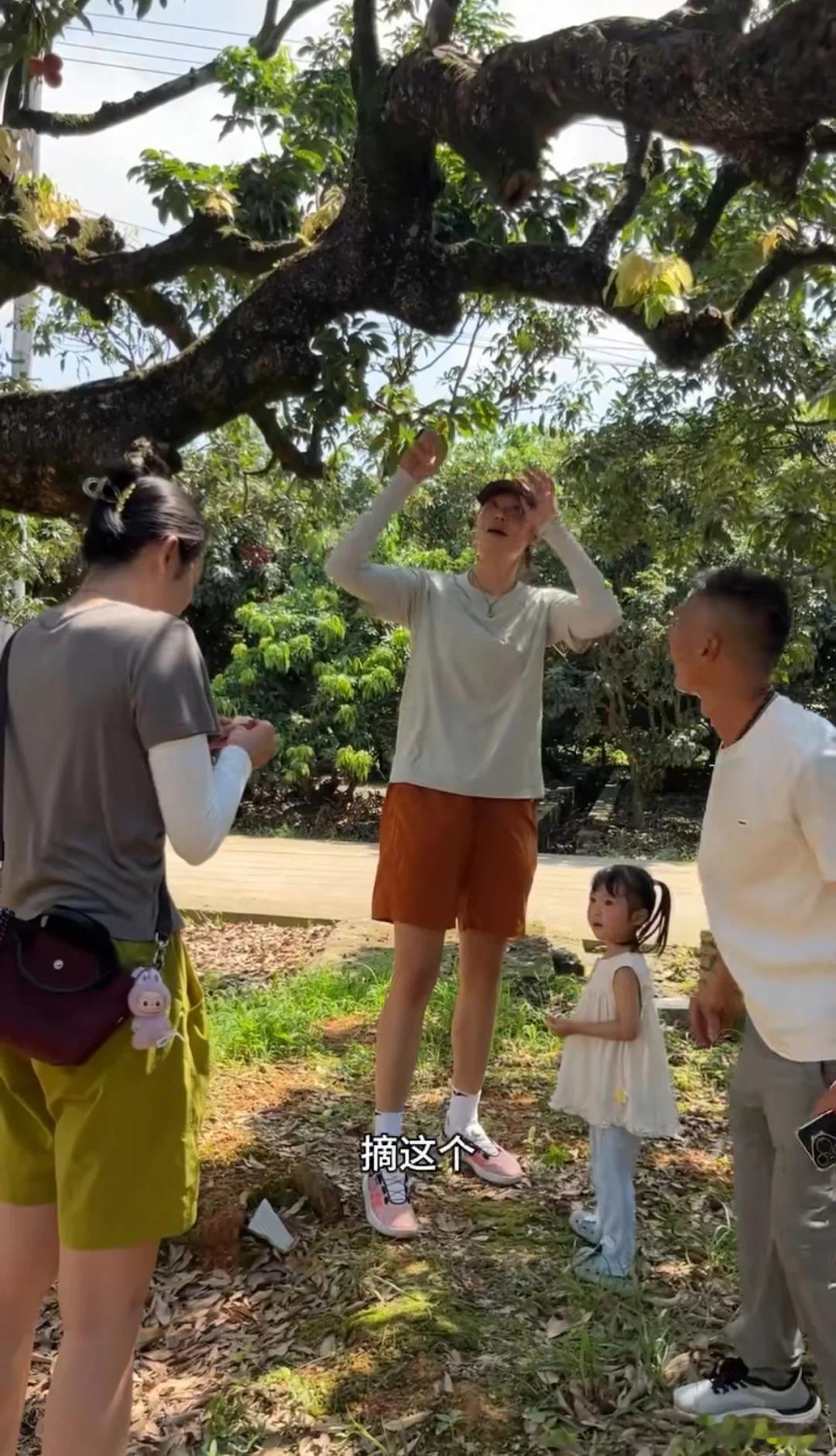 朱婷姚迪朱婷和姚迪去广东茂名参加活动，摘荔枝的时候身高优势立马显现出来了……哈哈