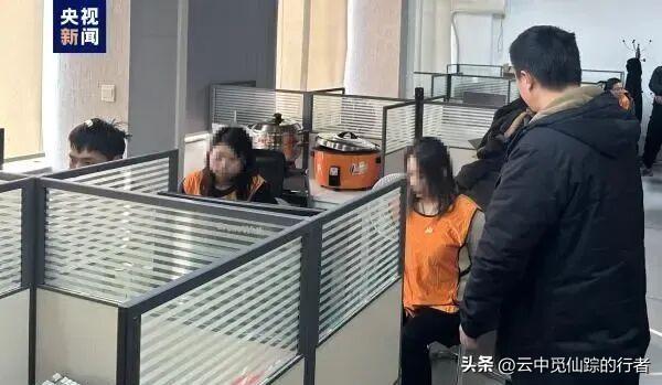 春日生活打卡季