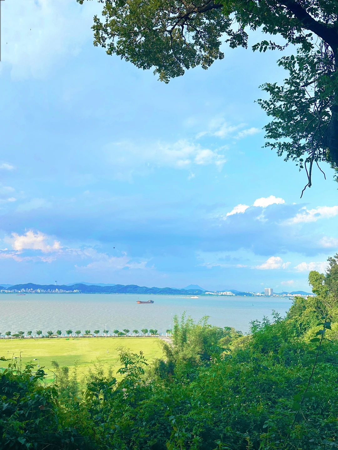 广州小众看海地🌊1分钟到顶🏞️地铁直达❗️