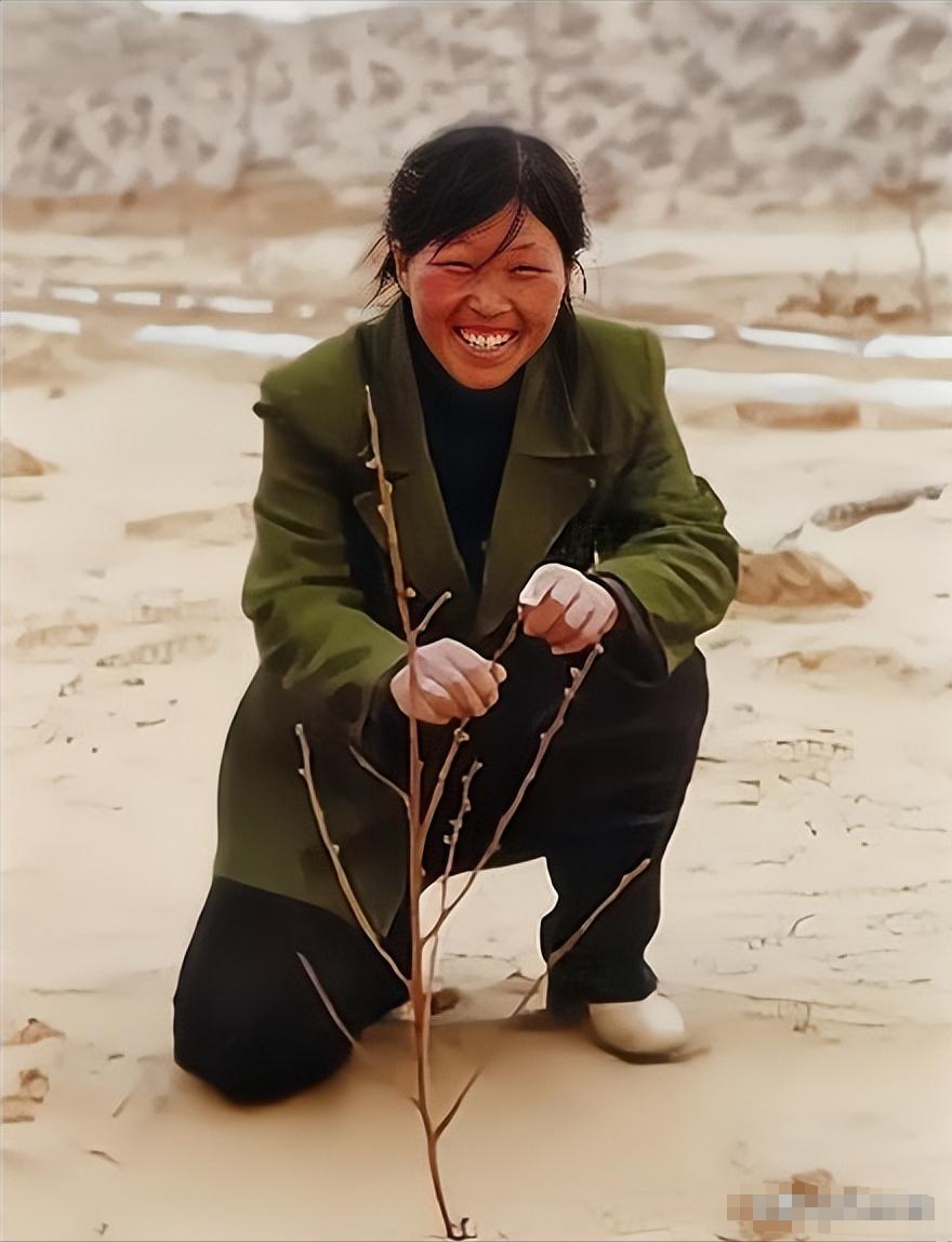 1985年，年仅19岁的殷玉珍被父亲狠心下嫁给毛乌素沙漠的白万祥。新婚之夜，白万