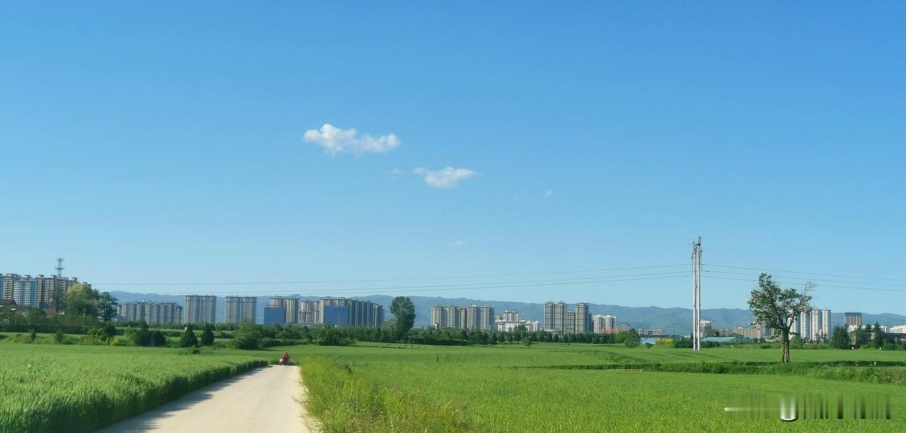 蓝天见祥云

       节日的下午，我在老家陕西宝鸡凤翔乡村发现了这一幅自然