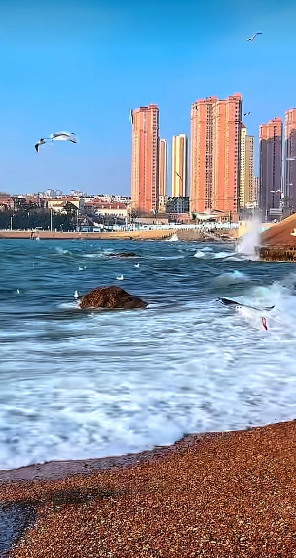 今年春天最想实现的心愿 今年春天，我最想实现的心愿就是去一趟海边。想象一下，在温