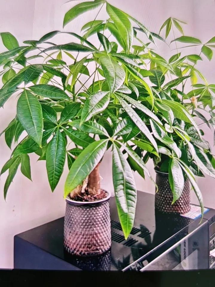 横批：世事浮沉