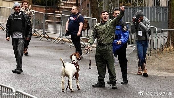 凤凰新闻【纽约爆发反伊斯兰化骚乱，美国网红牵山羊上街抗议】据凤凰卫视报道，美国纽