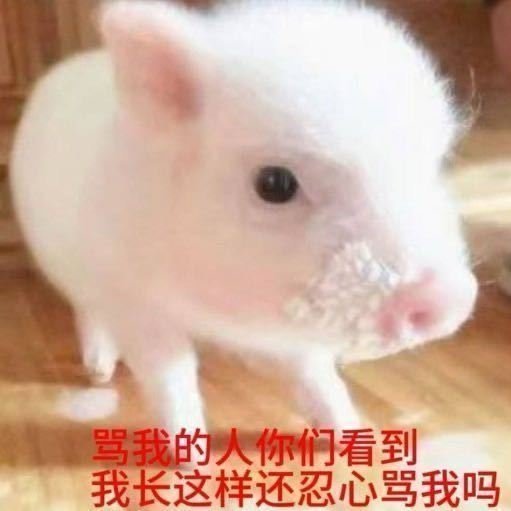 发现嬷嬷和辱追妹用的头像都好萌 ​​​