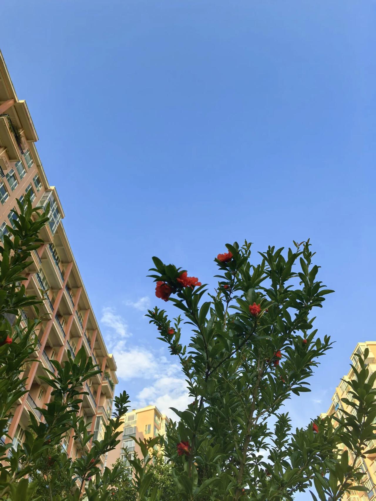 早安，健康中国！
​花落树挂果，迈腿人健康。晨曦烟火，清风徐来，人与自然融和，享