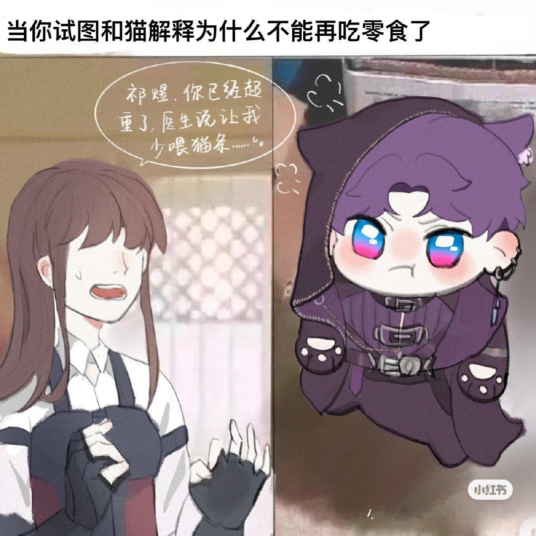 当保镖小姐试图和小呆猫解释 