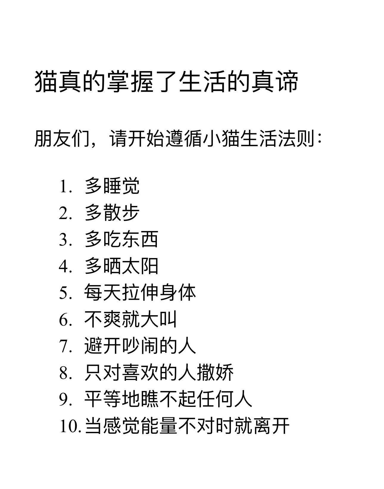 八月我将严肃遵循小猫生活法则： 