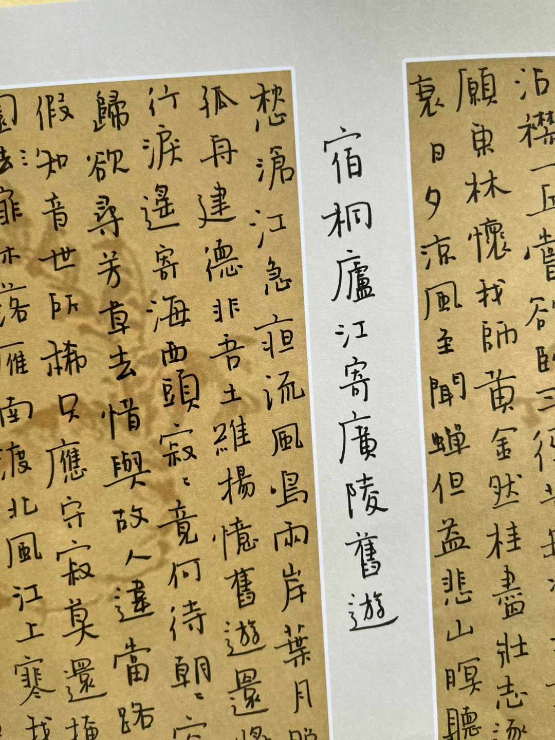 不会写系列