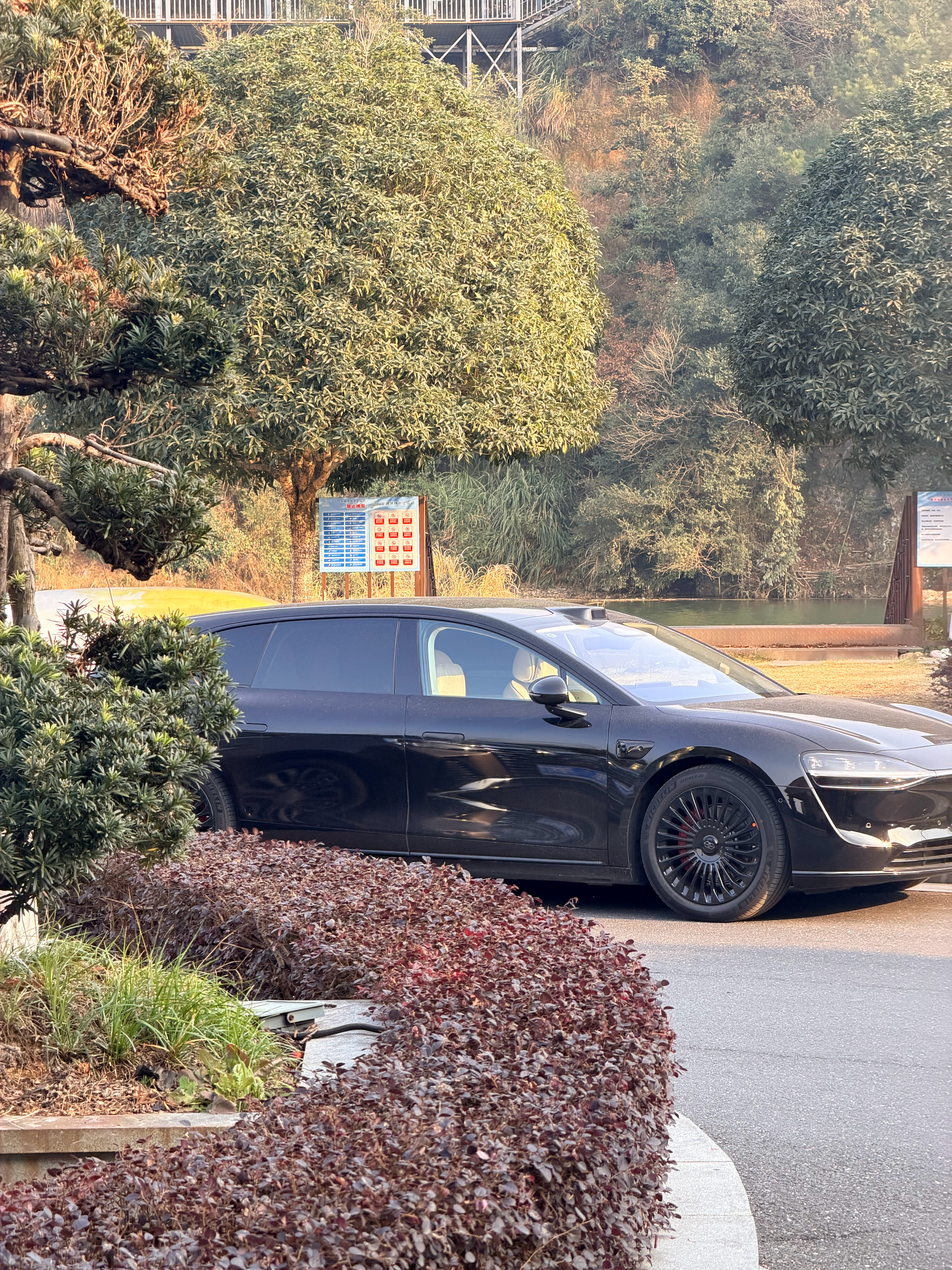 享界让豪华轿车市场四分天下身边人真是挺多人想买享界的，很难相信享界靠着S9，S9