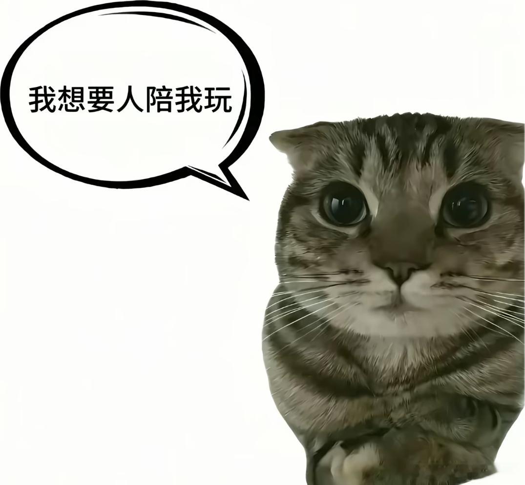 我一直哭。 