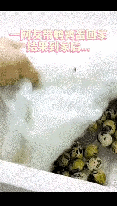 据我观察，碰到这种情况，应该算是赚了[思考]