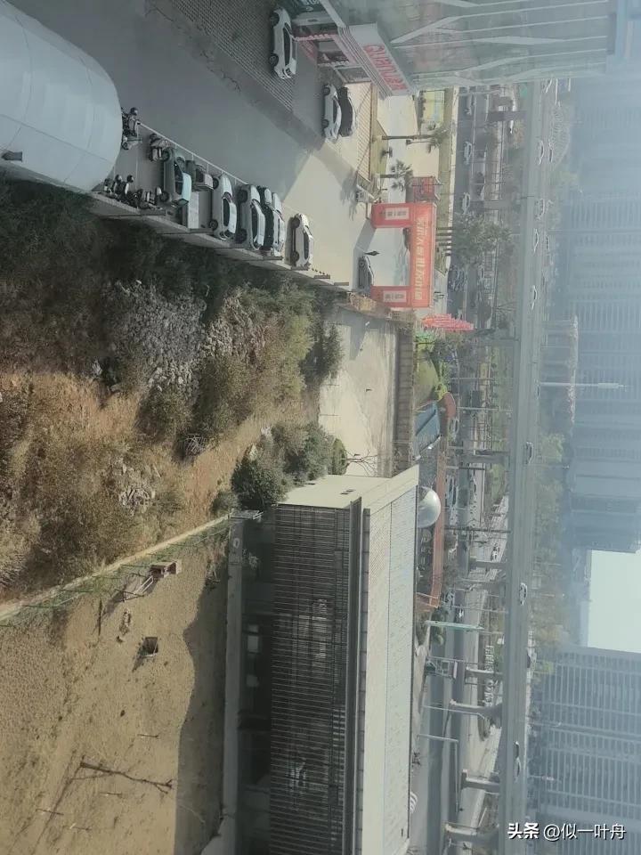 美丽的春天却被垃圾干扰了。原本退休了是自由幸福生活的一个新开始，可今天晨练的大观