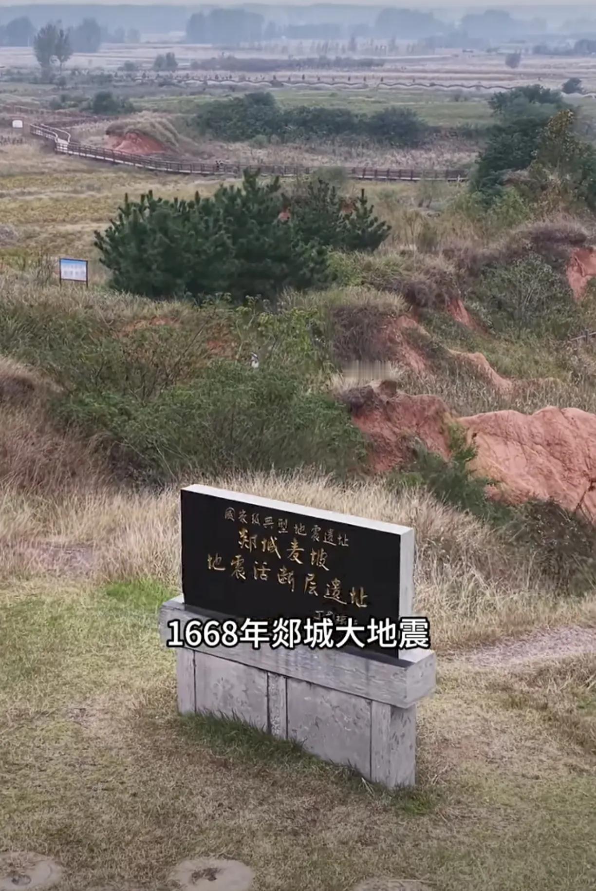 郯城地震是1668年7月25日（清康熙七年六月十七日戌时）发生于山东郯城、临沭、