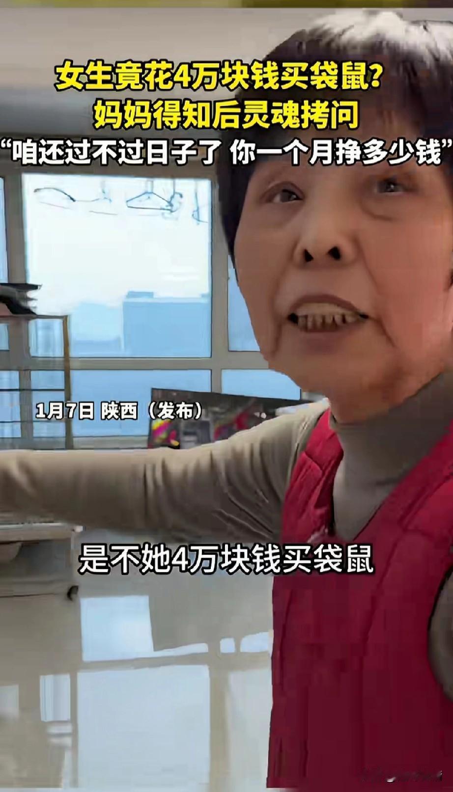 陕西女子真有才，
花4万块钱买了个袋鼠做宠物，
如今年龄38了，
依旧没有嫁出去