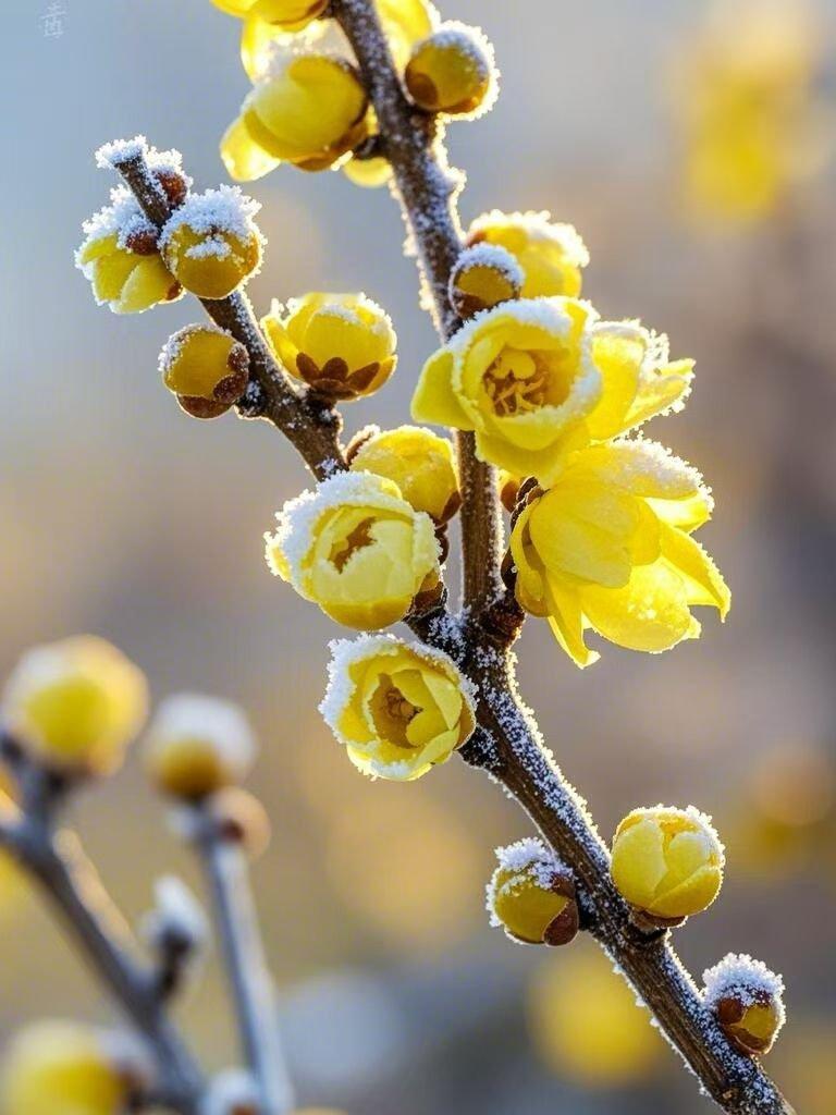 年会开奖：稳定陪跑，但快乐在线刚开完年会，喜提九阳电热水壶一个。前年是电水壶，去