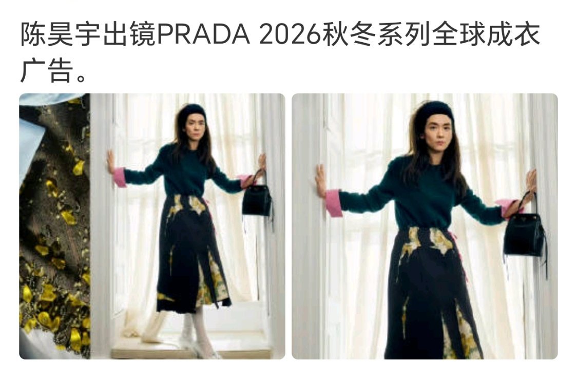 这样的话，她的待遇是最好的其他的好像都是国内特定节日推广 