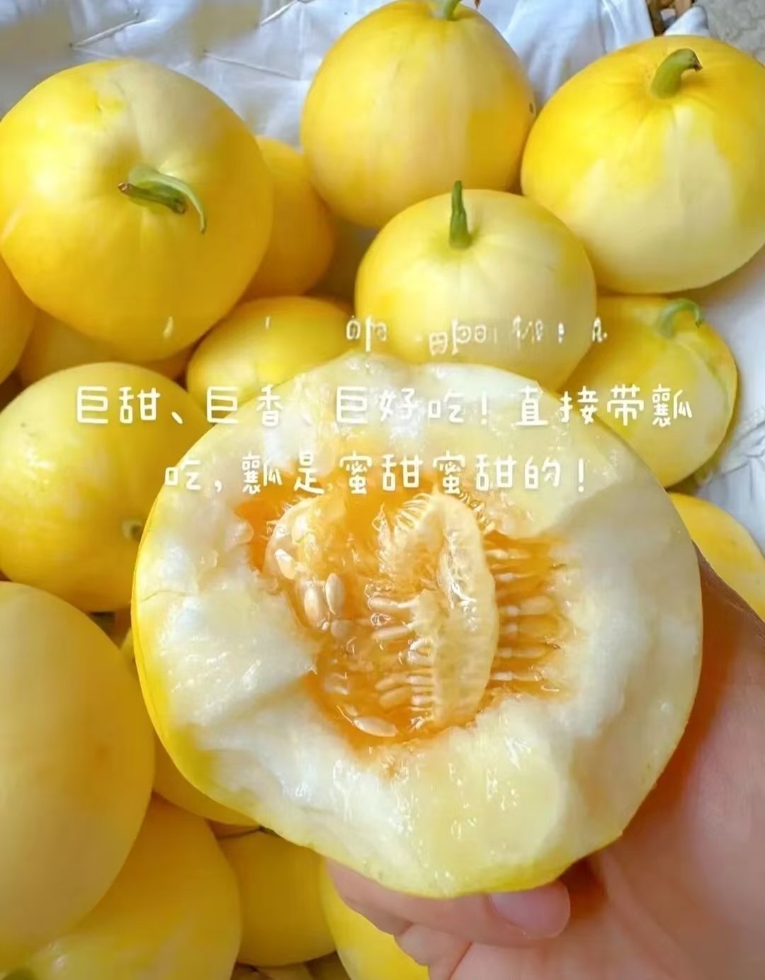 小蜜蜂甜瓜 小甜瓜正当时，新鲜品鉴，就是这么清甜