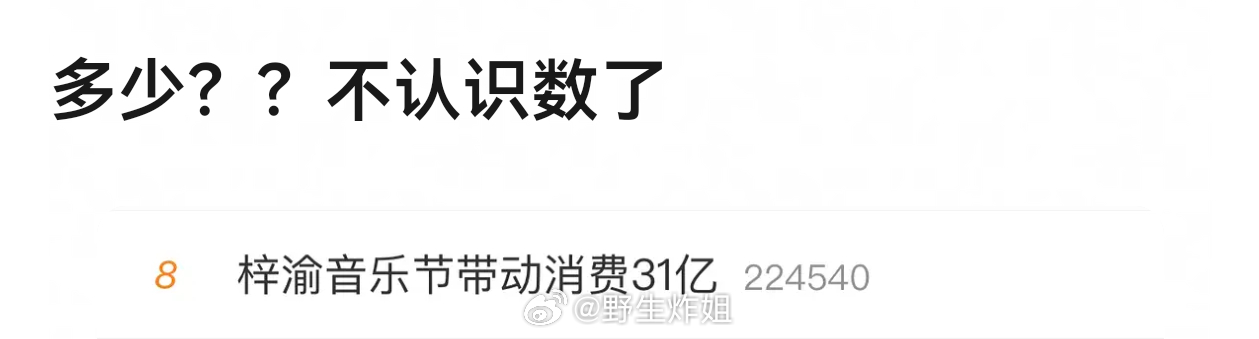 ？？多少钱？？？我差点不认字了梓渝音乐节带动消费31亿 ​​​