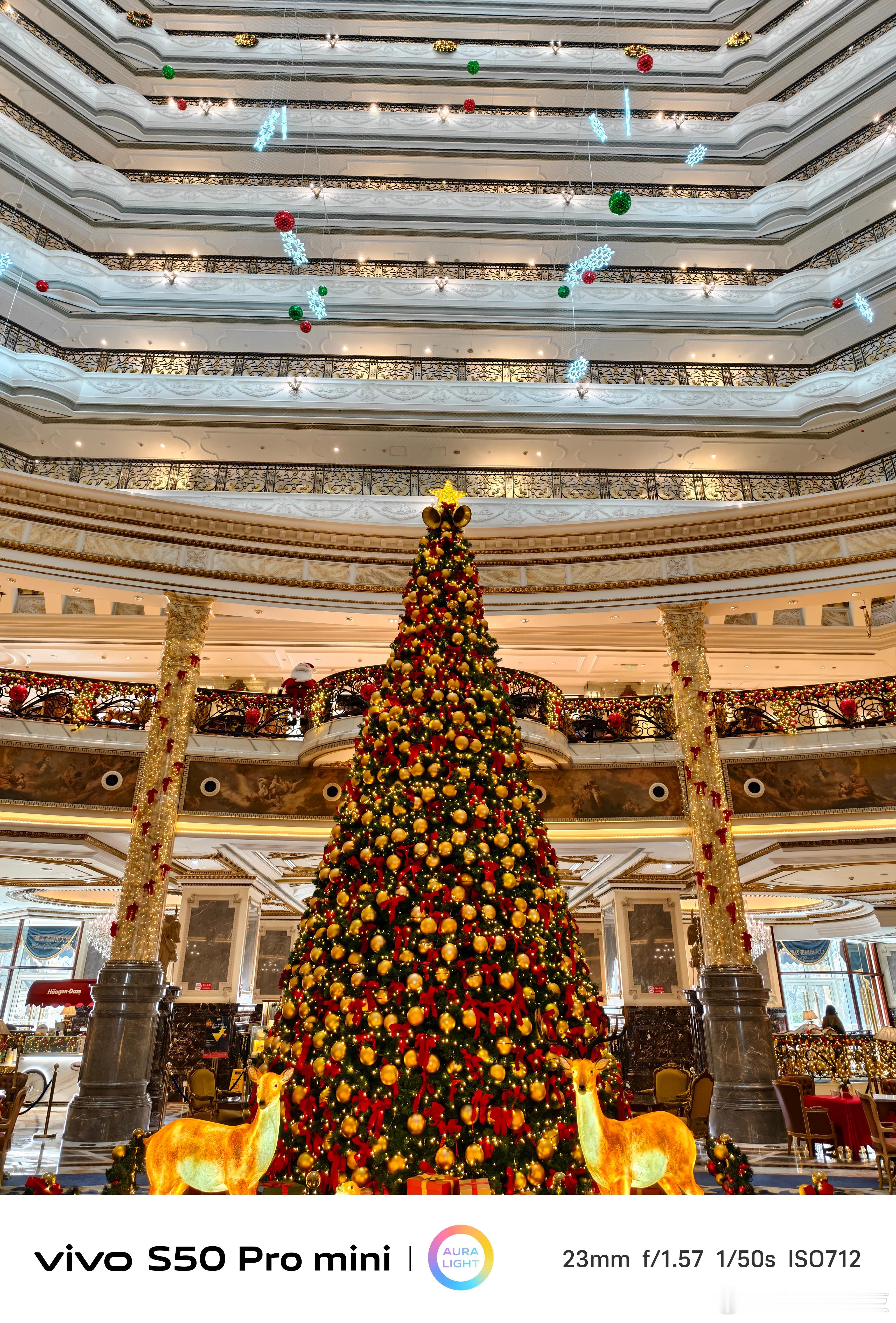 北京的励骏酒店算得上是每年圣诞期间的打卡圣地了。今年也带着vivo s50 pr