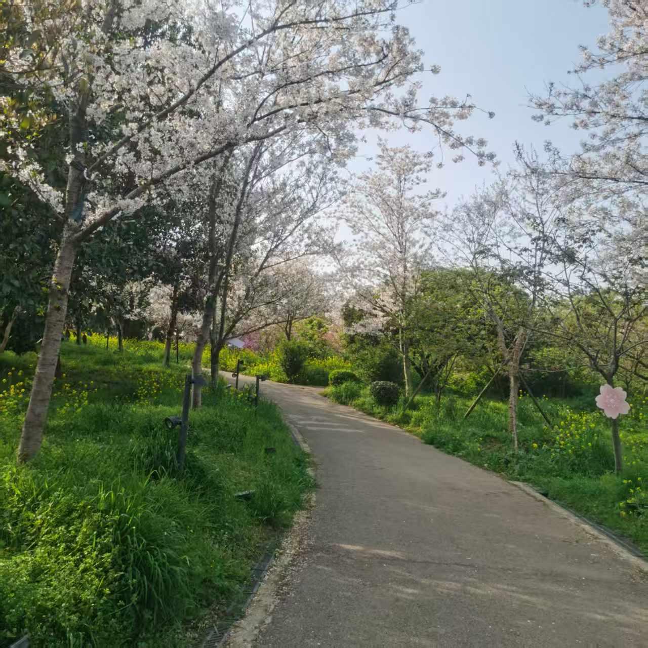 那地方有一道名菜，很美味，但不能吃。亲戚说。

啥意思？我看向对方。

就是醋溜