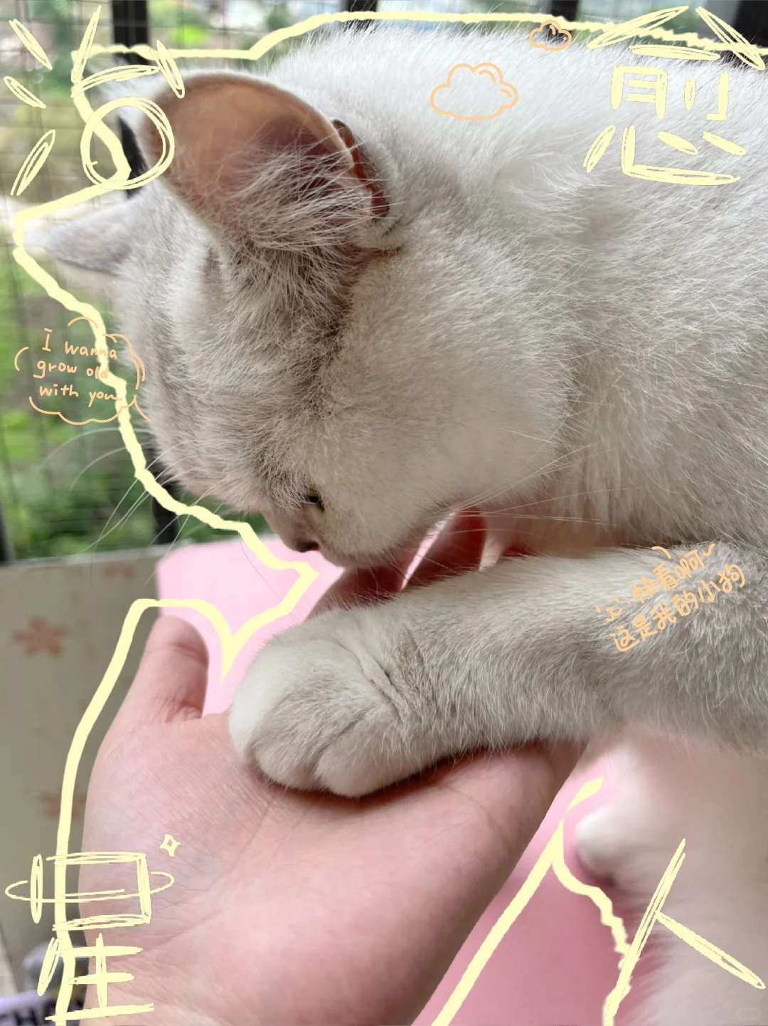 这一幕在猫咪面前也太感人了叭~