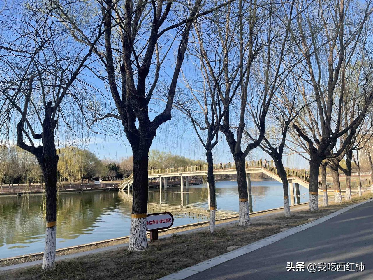 我现在是高二，十七岁。最近这段时间，脑海里反复盘旋着一个念头：要不干脆办个休学/